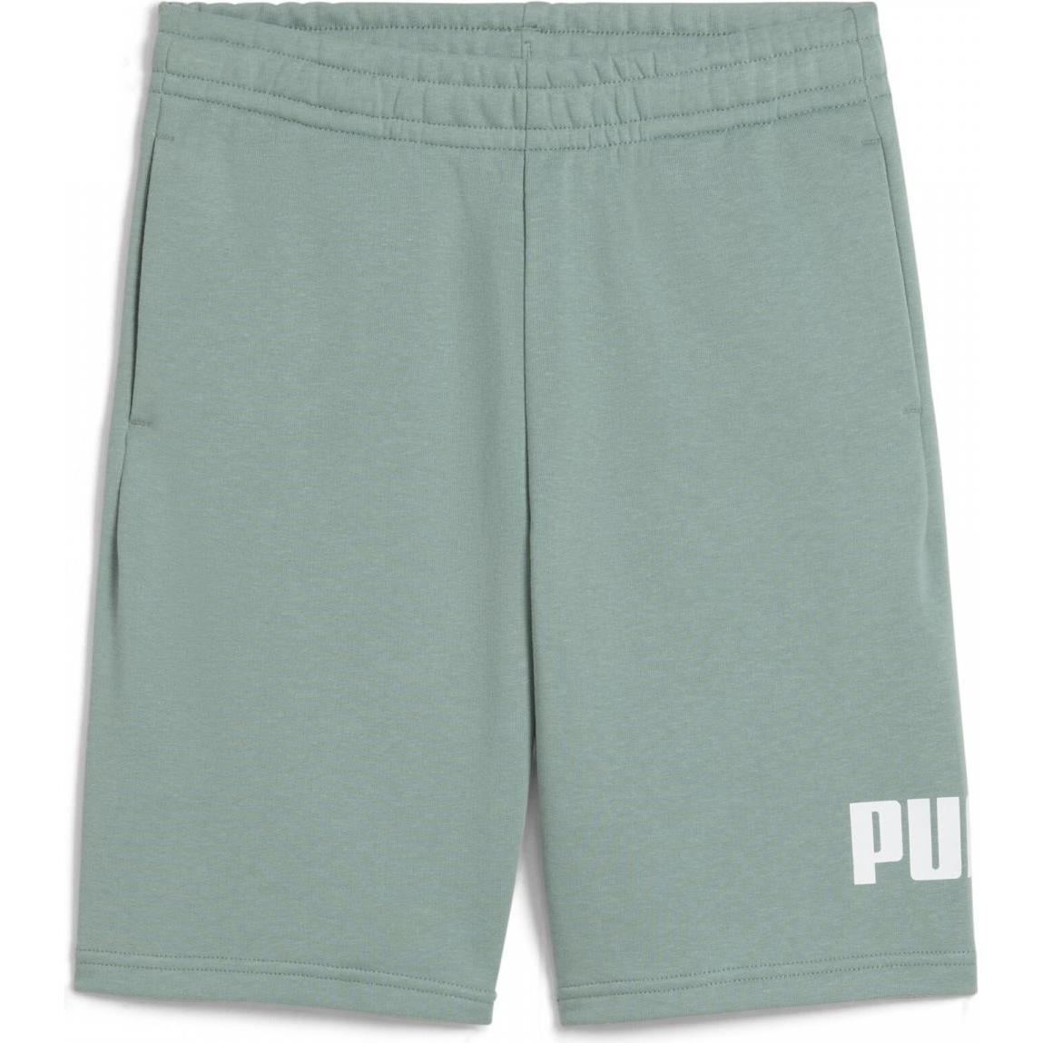 Puma, Jungen, Sporthose, ESS No. 1 Logo Shorts TR B (152), Blau, 152