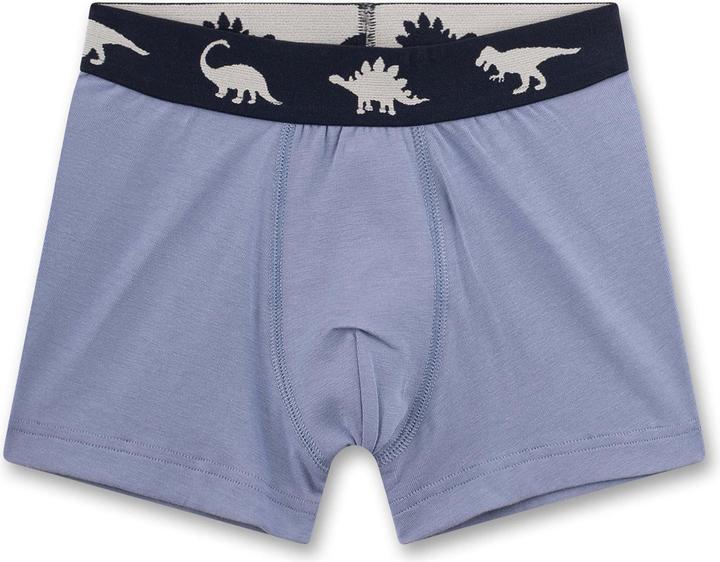 Immagine prodotto Sanetta Kid's Set Shorts 337241 (104, Confezione da 5 pezzi)