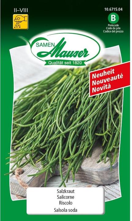 Image du produit Samen Mauser Salzkraut