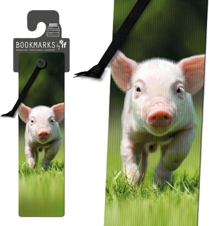 Image du produit IF 3D-Lesezeichen 15409 - Schweinchen