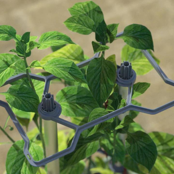 Productafbeelding Gusta Garden Kweekpotten Charly Chilli XL Donkergroen