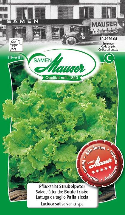 Produktbild Samen Mauser Pflücksalat Strubelpeter (Gemüsesamen)