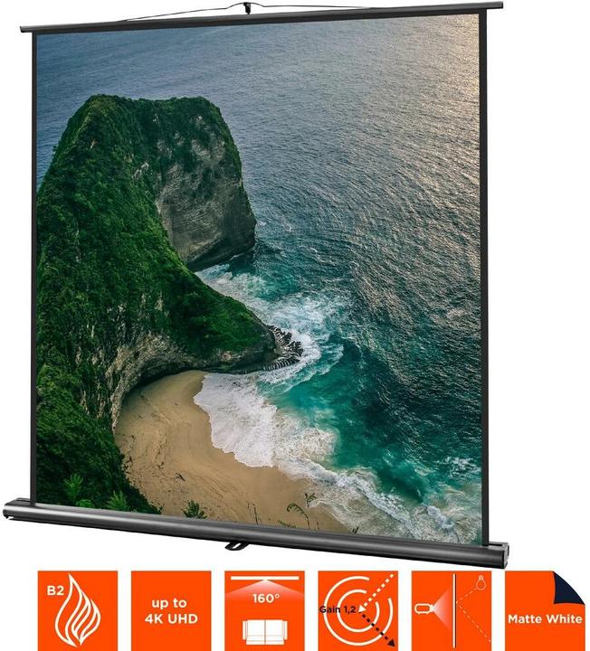 Produktbild Celexon Ultramobil Professional (109", 1:1)