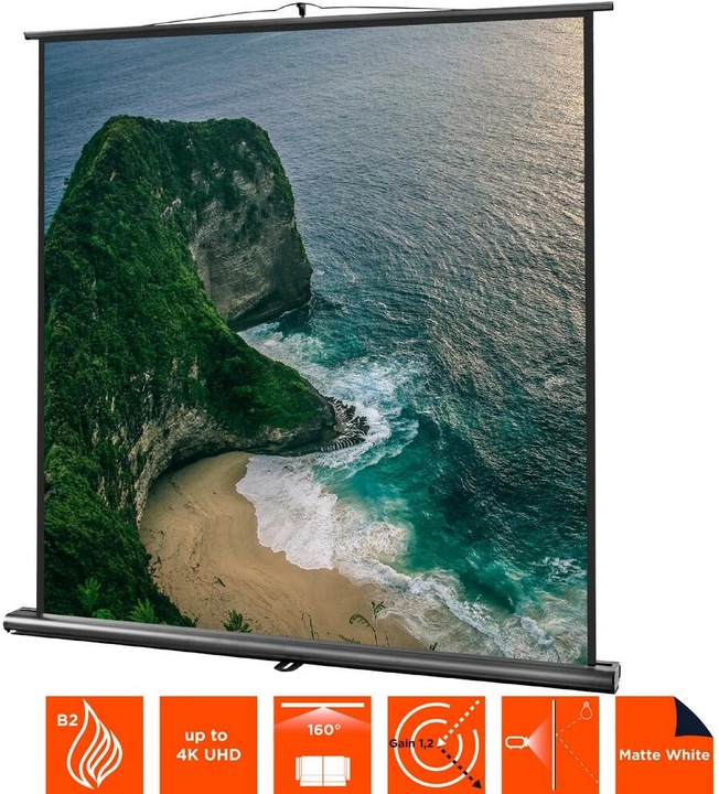 Actual product image Celexon Ultramobile Professional (109", 1:1)