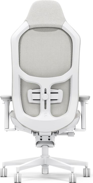 Actual product image Fractal Gaming chair Refine Mesh Light (shipping)