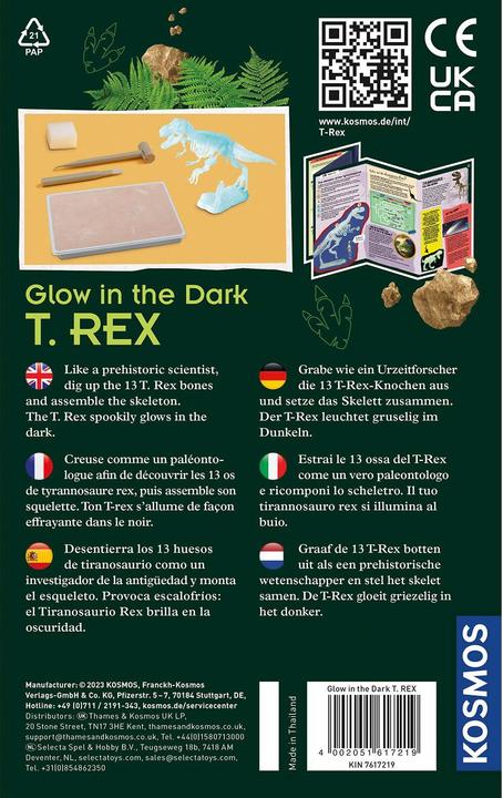 Actual product image Kosmos Glow in the Dark T-Rex Bikken