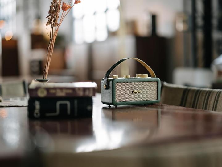 Actual product image Sangean RA-101 Rechargeable Radio FM Bluetooth®, AUX Rechargeable Green, Gold (FM, Bluetooth)