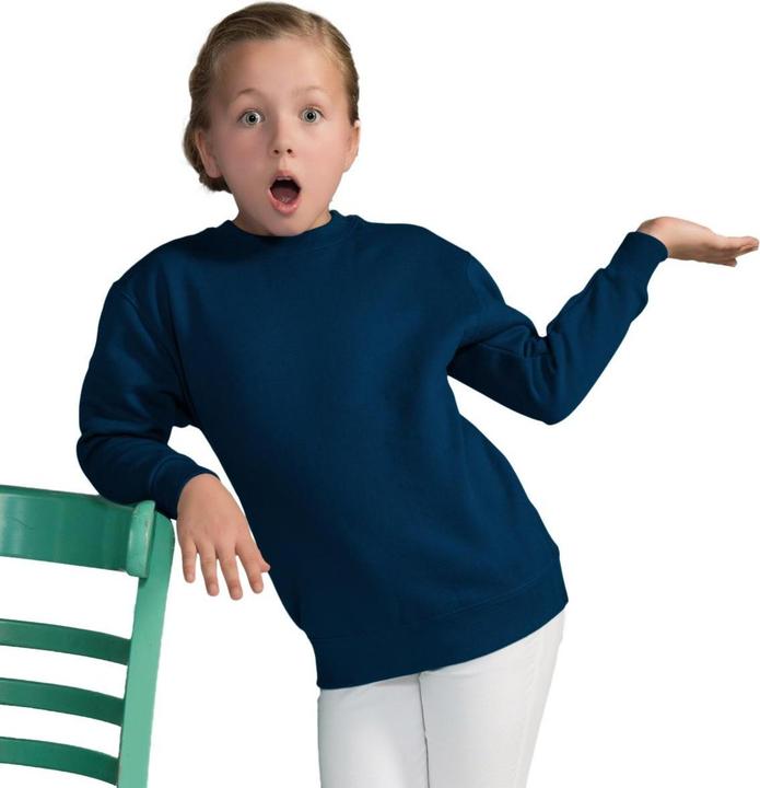 Produktbild Sg Pullover mit Rundhalsausschnitt (104)