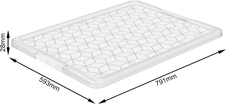 Image du produit Rotho Couvercle pour Evo Easy (79 x 3 x 59.5 cm, 140 l)
