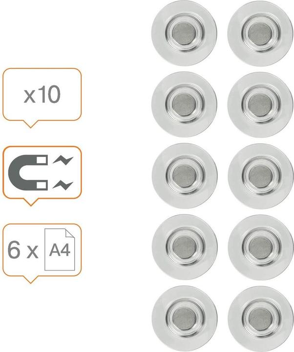 Actual product image Nobo Rare earth magnets (10 x)