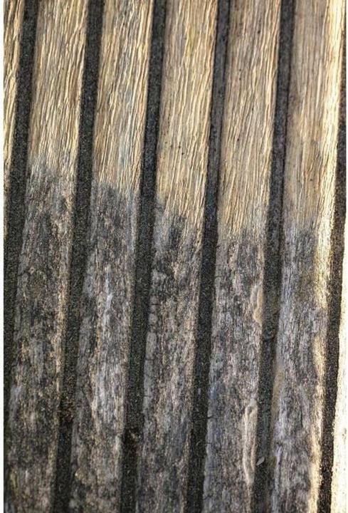 Image du produit Scheppach Brosse métallique