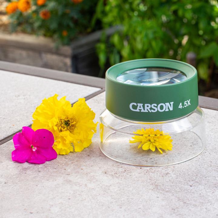 Actual product image Carson Kids Loupe BugLoupe