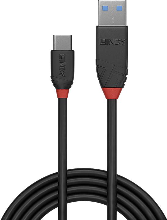 Actual product image Lindy black line (1.50 m, USB 3.1, 15 W)