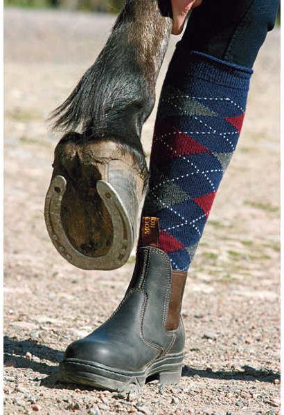 Produktbild Mountain Horse Sicherheitsstiefelette PROTECTIVE JODHPUR (37)