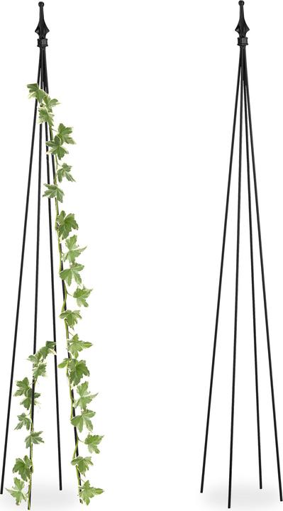 Image du produit Relaxdays 2x support pour plantes grimpantes (16 cm, 16 cm)