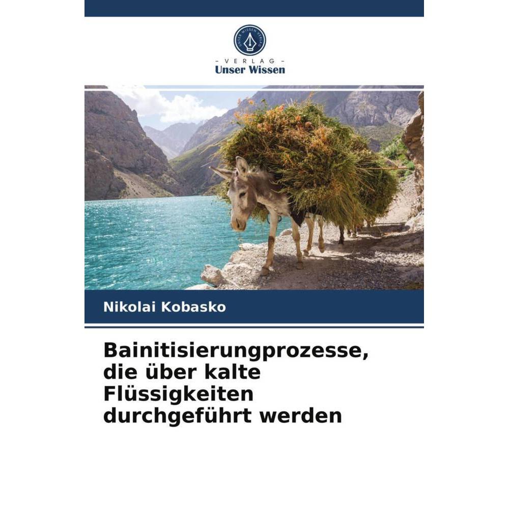 Bainitisierungprozesse, die über kalte Flüssigkeiten durchgeführt werden, Fachbücher von Nikolai Kobasko