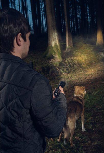 Actual product image Varta Flashlights (23 cm, 700 lm)