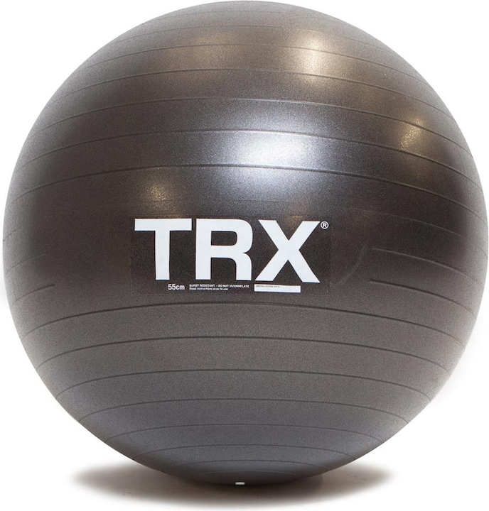 Actual product image TRX Stability Ball (65 cm)