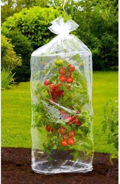Image du produit Wenko Coiffes de tomates