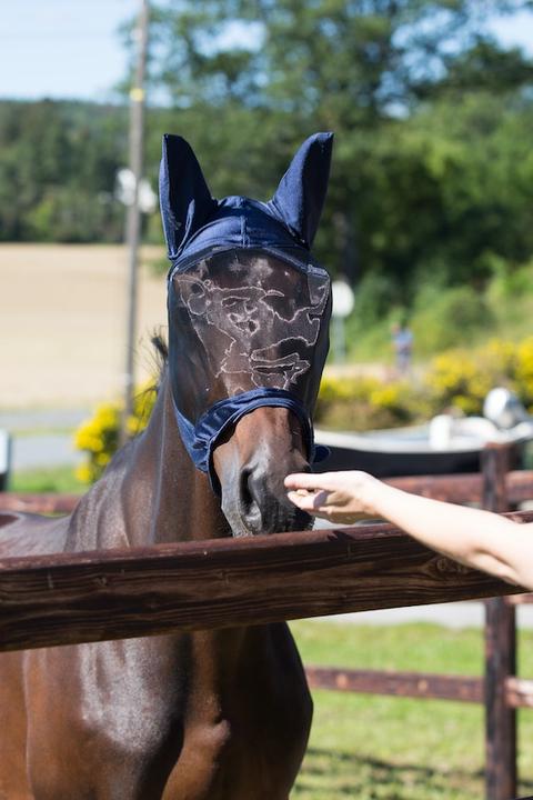 Horze Fly mask Cayman