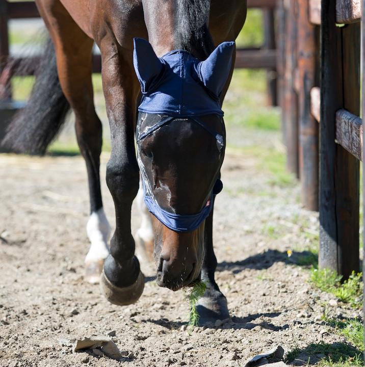 Actual product image Horze Fly mask Cayman