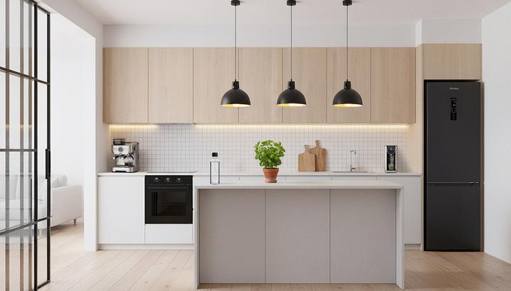 Actual product image Trisa Combi Fridge 377 L, Black Inox (377 l)