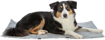 Actual product image Trixie Hondendeken Reisdeken Amy Grijs - 70X50 Cm (Dog)