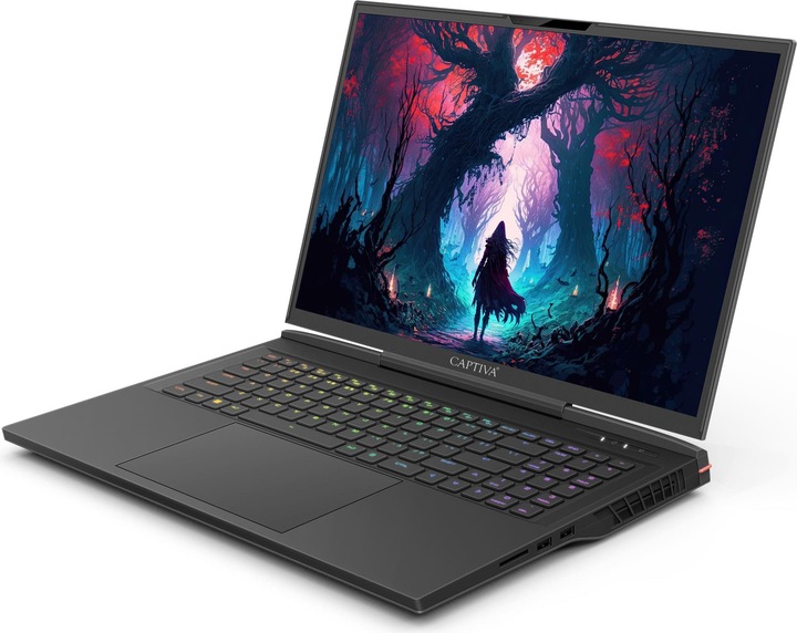 Produktbild Captiva Ultimate Gaming I81-610 Core i9 RTX 4090 (17.30", Intel Core i9-14900HX, 64 GB, 4000 GB, DE)