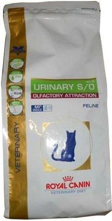 Actual product image Lindy Network cable (UTP, CAT6, 1 m)