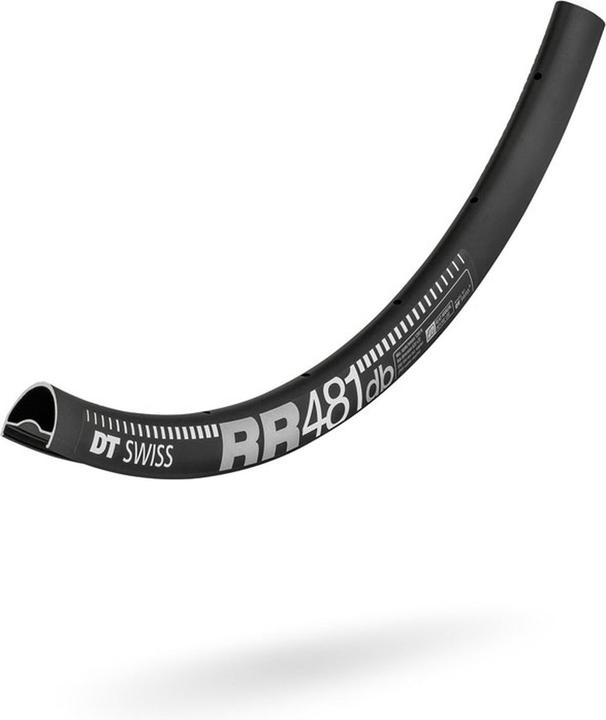 Actual product image DT Swiss RR 481 rim DB (28")