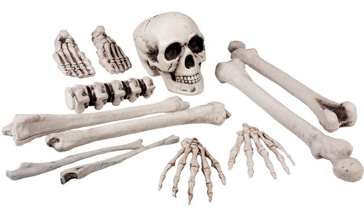 Produktbild Boland Skelettteile Set