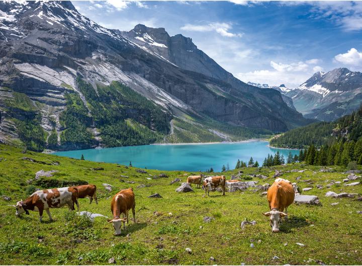 Actual product image Berner Oberland 2027