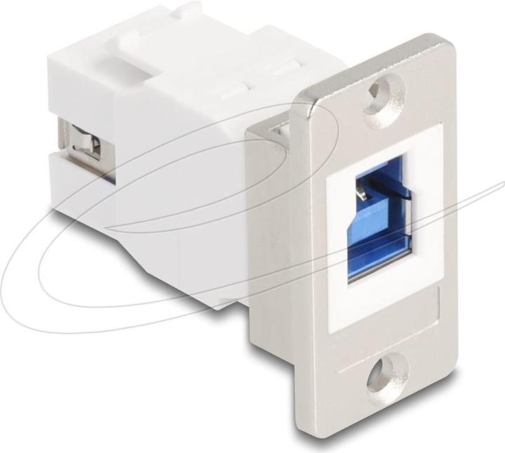 Image du produit Delock Panel Mount USB 5 Gbps Typ-B Buchse zu USB Typ-A Buch (USB 3.2 Gen 1)