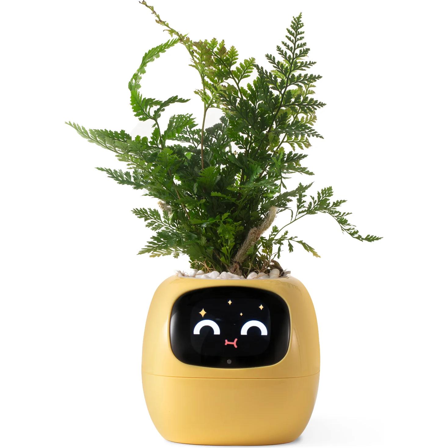 Plantsio, Blumentopf, Ivy Smart Planter