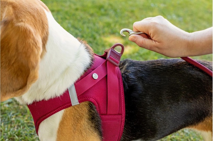 Produktbild Curli Vest Air-Mesh (XS, Hund, Allgemein)