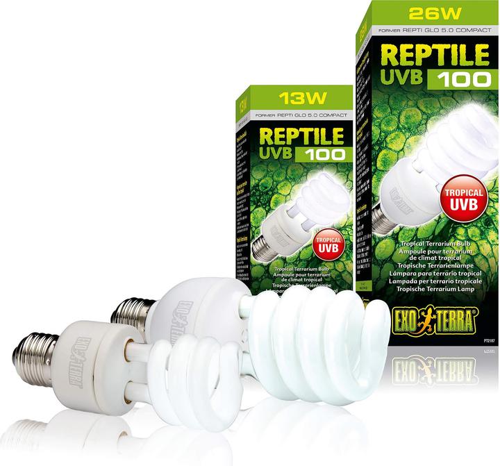Actual product image Exo Terra Compact fluorescent tube Repti Glo 5.0 26 W (UVA, UVB)