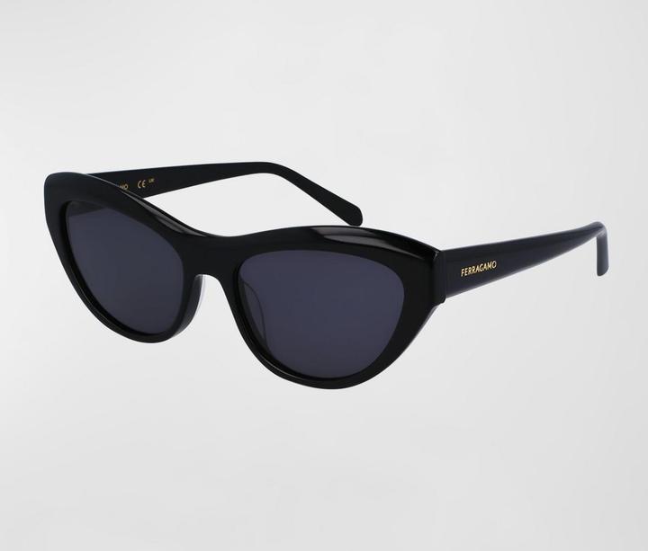 Productafbeelding Salvatore Ferragamo Ladies' Sunglasses SF1103S-5517001 Ã˜ 55 mm