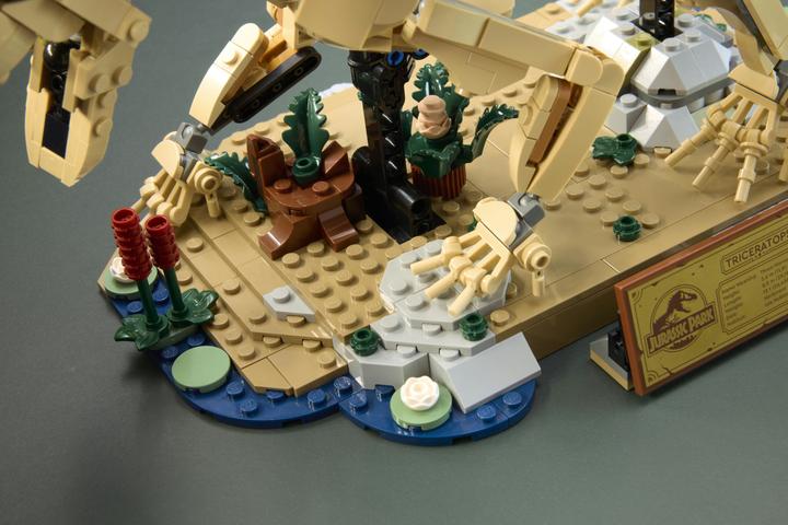 Produktbild LEGO Dinosaurier-Fossilien: Triceratops (77985, LEGO Jurassic World)
