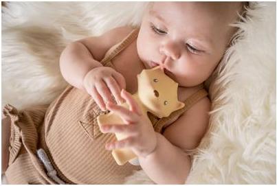 Actual product image Tikiri Rattle fox