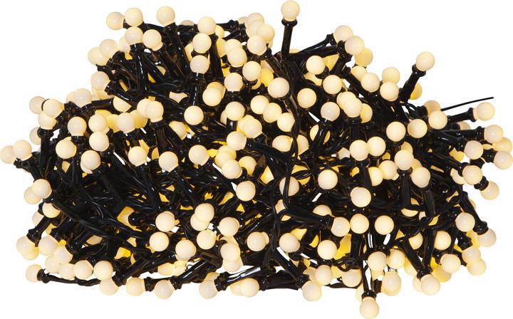 Star Trading Berry Mini (19 m)