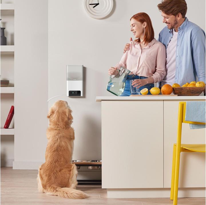 Immagine prodotto Petcube Distributore di croccantini per animali domestici con camera (1000 l)