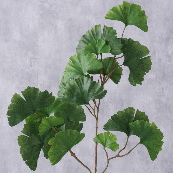 Immagine prodotto Boltze Home Gingko (2 cm)