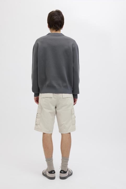 Actual product image Jack & Jones Regular fit cargo shorts Cargo shorts (M)