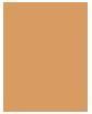Actual product image Estée Lauder Pure Color (3W1 Tawny)