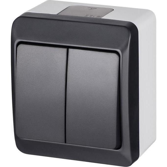 Elektro-Plast SWITCH 2 GANG IP44 0332-07, Taster + Schalter, Grau