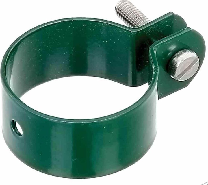 Image du produit GAH Collier de serrage Alberts vert Ø 44 mm