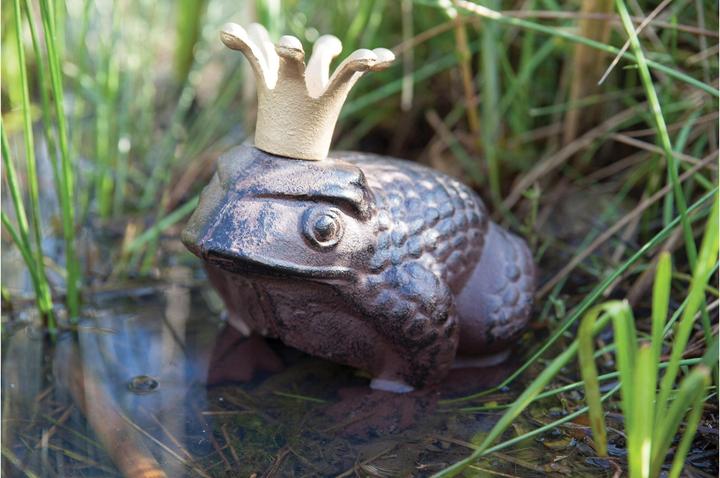 Image du produit Esschert Design Figurine décorative grenouille roi rouille (20,5 x 17,5 x 20 cm)