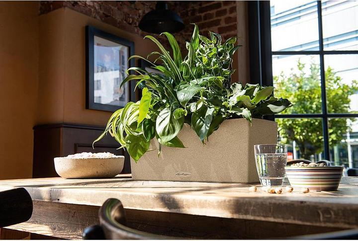 Actual product image Lechuza Balconera Stone (19 cm)