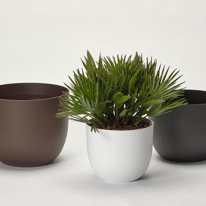 Image du produit Euro3plast Rio Greener