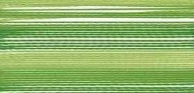 Actual product image Madeira Embroidery thread Rayon No.40 Ombré (200 m)